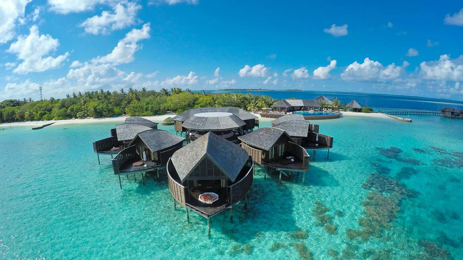 马尔代夫尼亚玛岛预订及价格查询,Niyama Private Islands Maldives_八大洲旅游